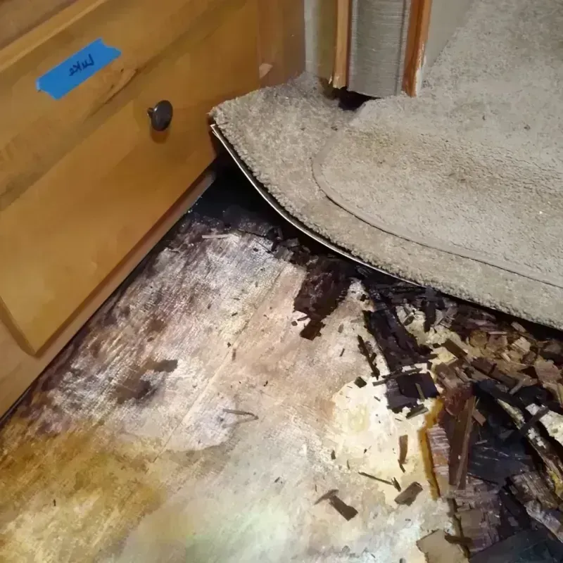 Wood Floor Water Damage in Jetmore, KS